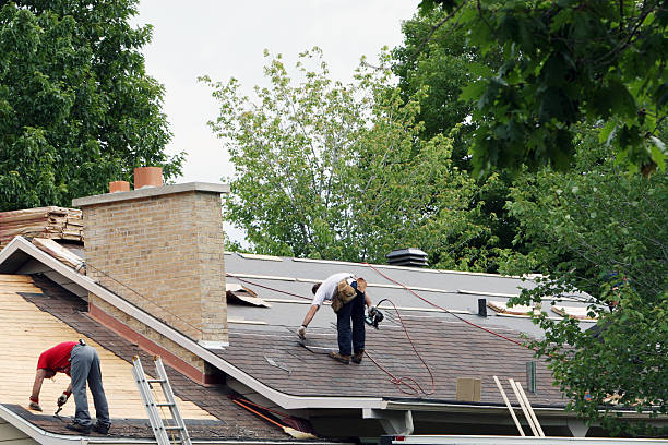 Roof Gutter Cleaning in Allyn, WA